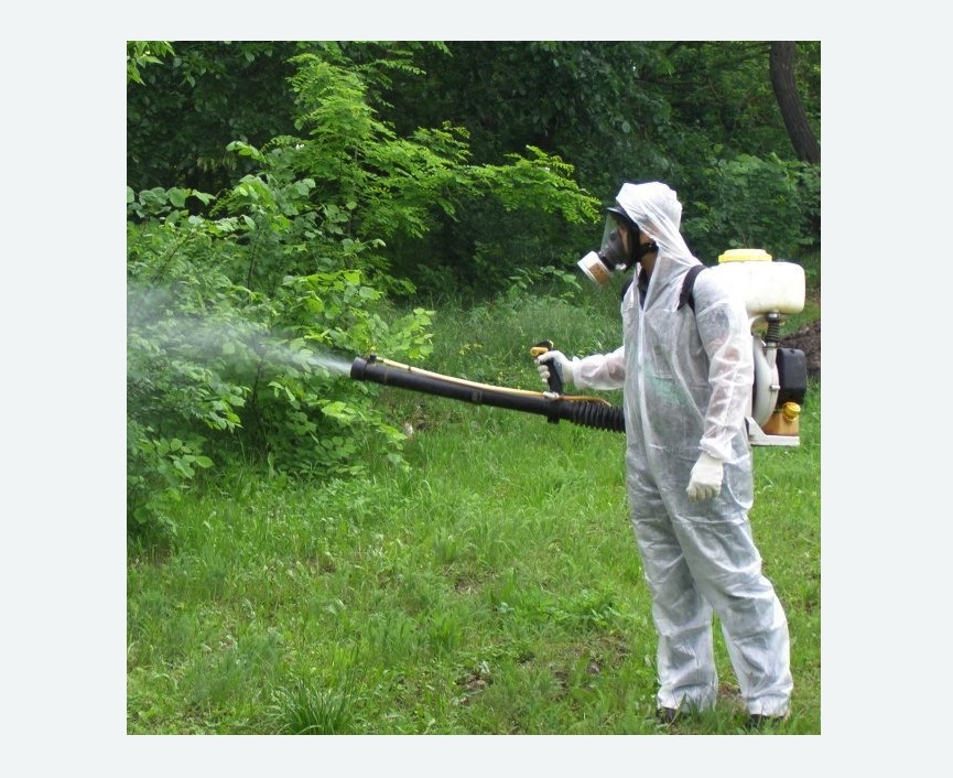 обработка территории от клещей в Мензелинске