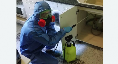 Уничтожение муравьев в квартире. Мензелинск