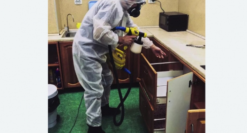 Уничтожение насекомых в квартире. Мензелинск