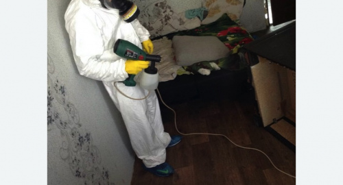 Обработка квартир от насекомых в Мензелинске