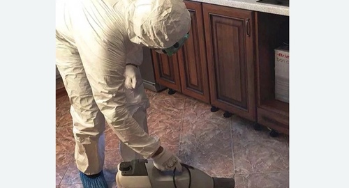 Уничтожение тараканов в квартире. Мензелинск