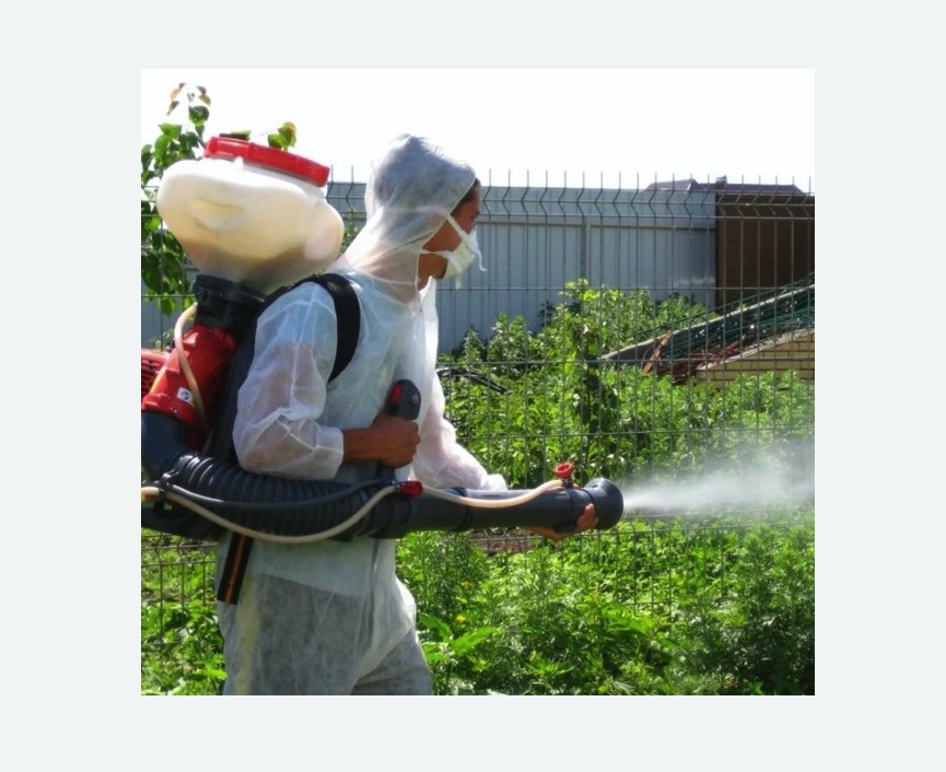 Акарицидная обработка территории в Мензелинске