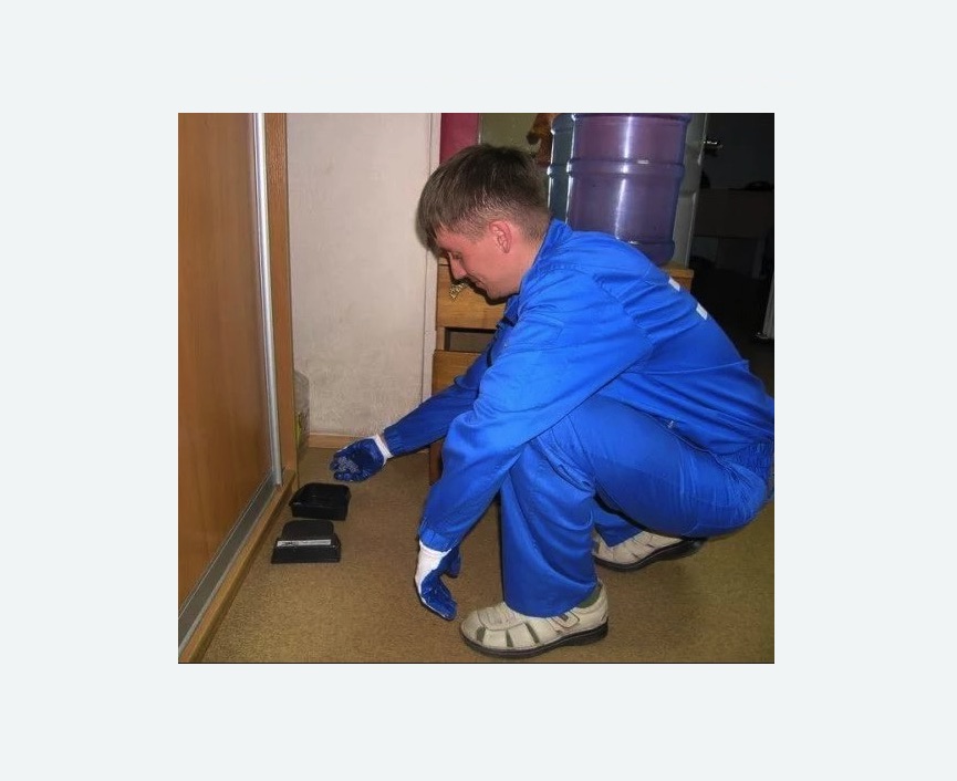 Дератизация крыс в Мензелинске