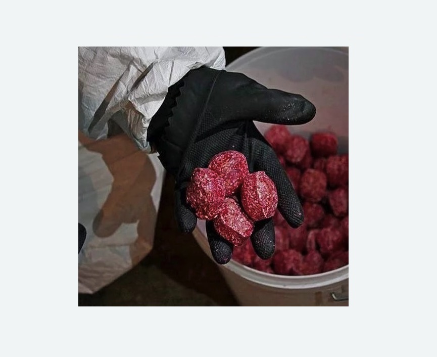 Обработка от крыс в Мензелинске