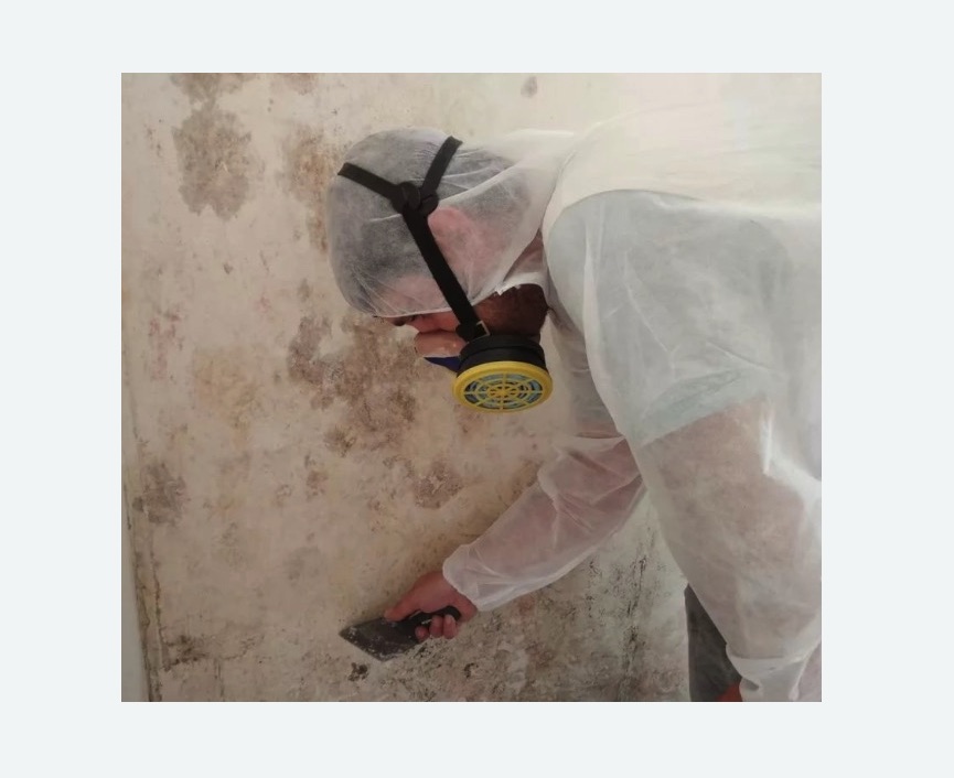 Обработка стен от плесени в Мензелинске