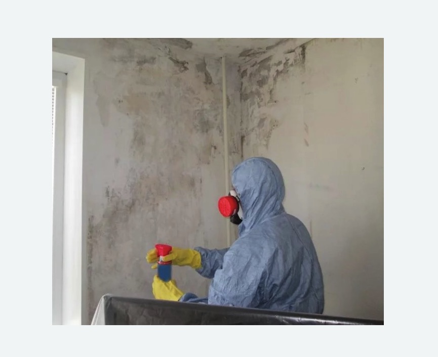 Удаление плесени в квартире в Мензелинске