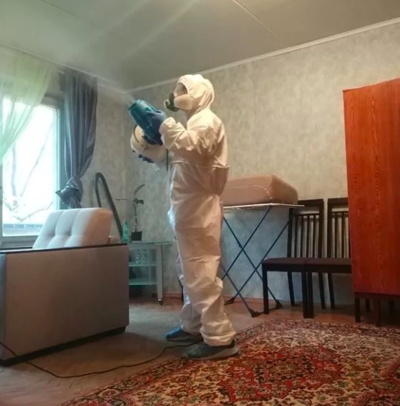 дезинсекция квартиры в Мензелинске