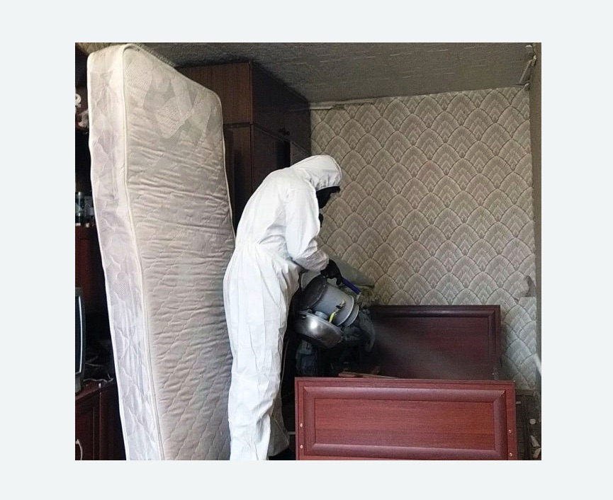 дезинфекция от клопов в Мензелинске