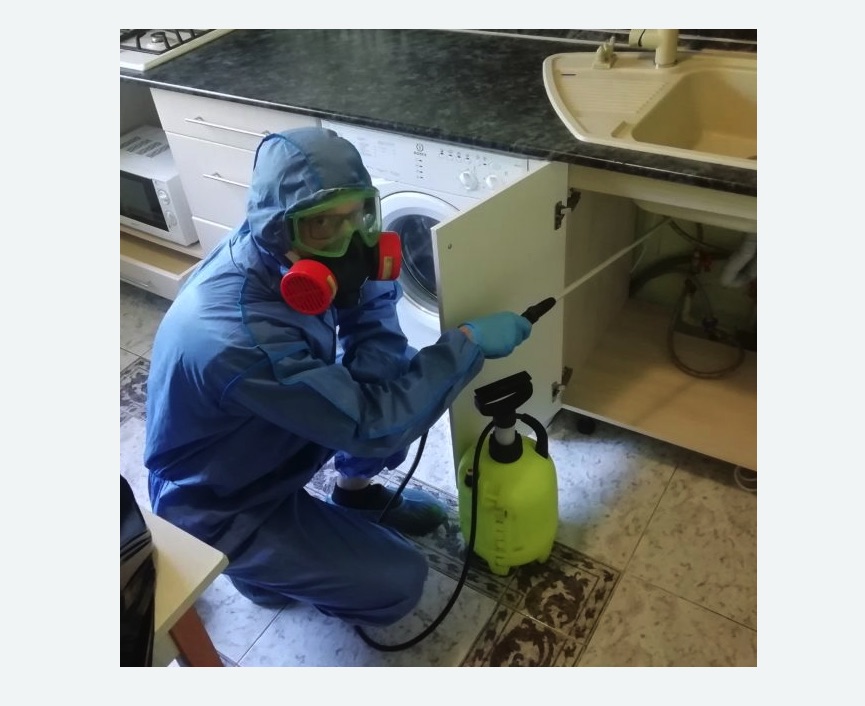 обработка от муравьев в квартире в Мензелинске