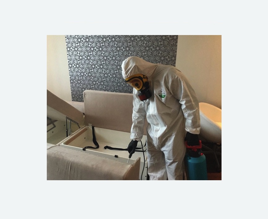 уничтожение клопов в квартире в Мензелинске