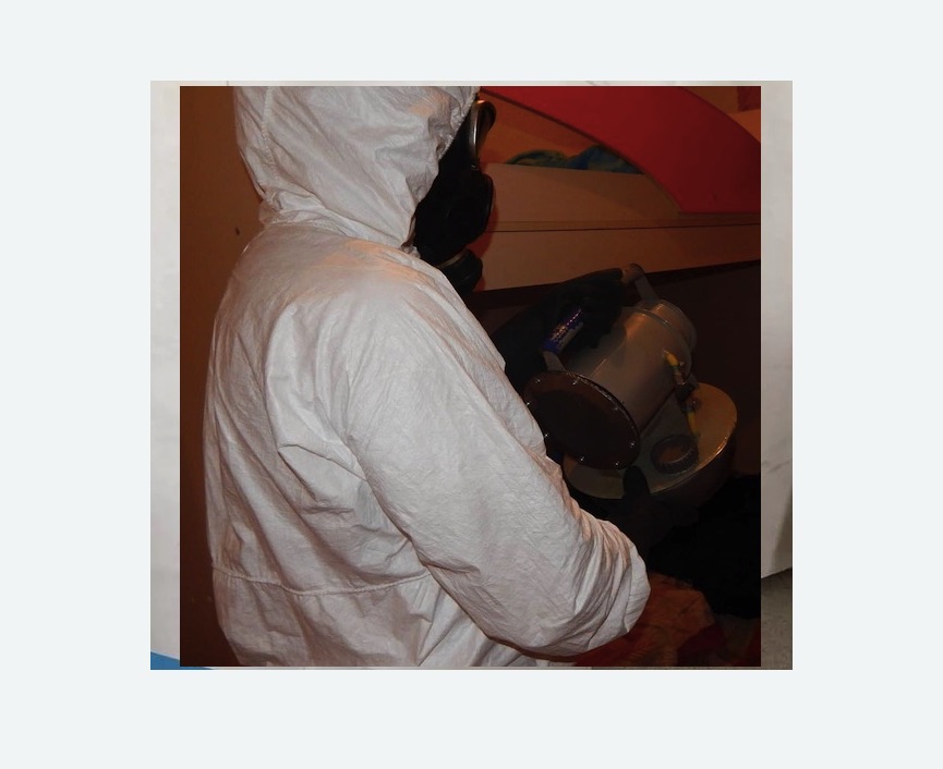 Дезинфекция от муравьев в Мензелинске