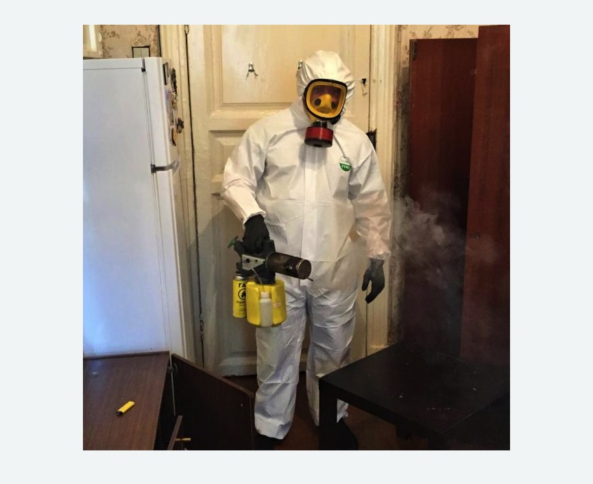 уничтожение муравьев в квартире в Мензелинске